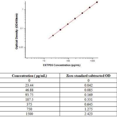 Sandwich ELISA CD39L4/ENTPD5 Antibody Pair [HRP]